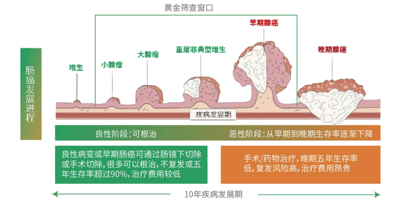 无创基因检测：解锁亲子鉴定新篇章