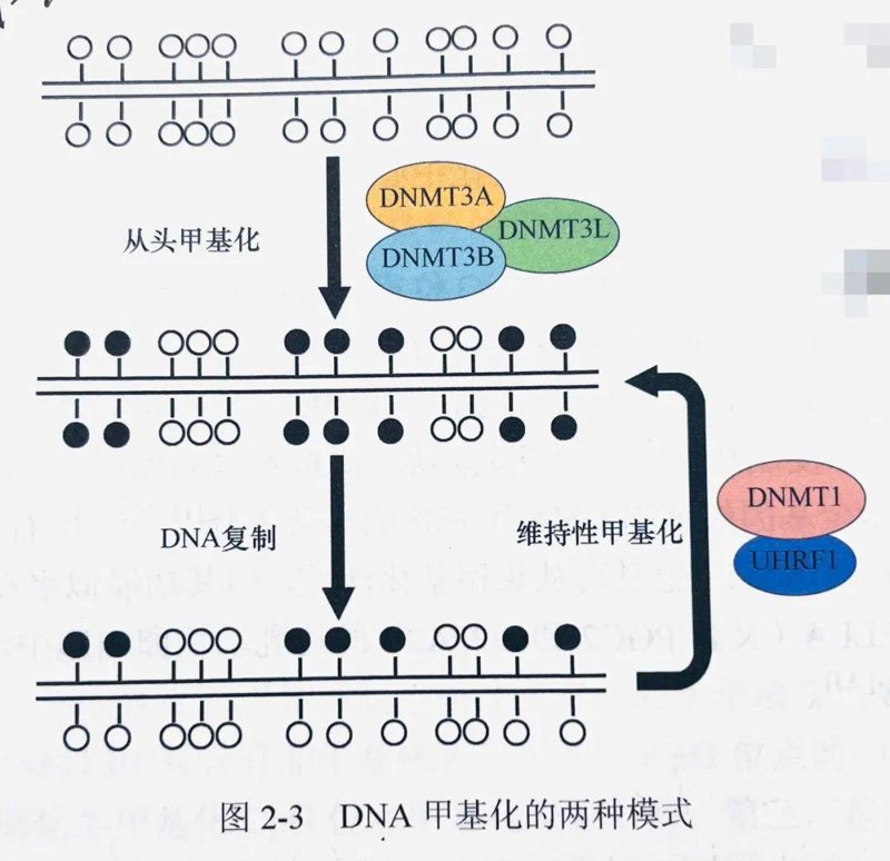 肿瘤早筛：守护健康的第一道防线